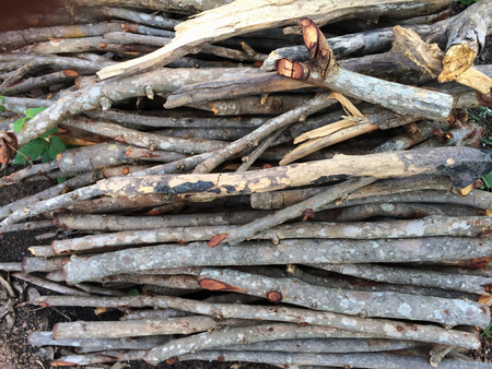 Timber heap on the grassの写真素材