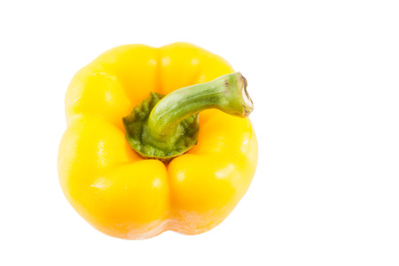 Yellow bell paper is wet isolated on white backgroundの写真素材