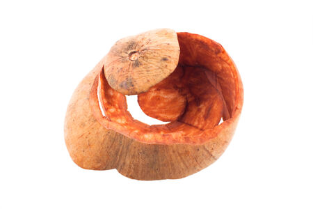 Sentul, Santol friut skin isolated on white backgroundの写真素材