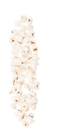 Jobstears isolated on white backgroundの写真素材