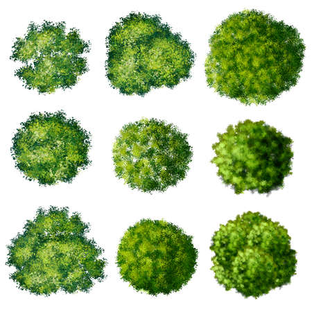 Collection of abstract watercolor green tree top view isolated on white background  for landscape...