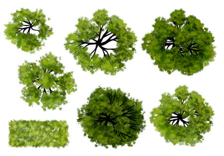 Collection of abstract watercolor green tree top view isolated on white background  for landscape plan and architecture layout drawing, elements for environment and garden.の写真素材