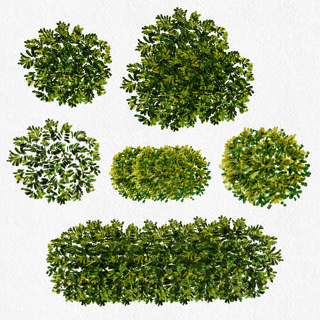Collection of abstract watercolor green tree top view isolated on white background for landscape plan and architecture layout drawing, elements for environment and garden.の写真素材