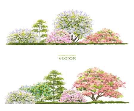Vector watercolor of tree side view isolated on white background for landscape and architecture drawing, elements for environment and garden, painting botanical for section and eleのイラスト素材