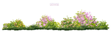 Vector watercolor blooming flower,tree or forest side view isolated on white background for landscape and architecture drawing,elements for environment and garden,botanicalのイラスト素材