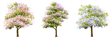 Vector watercolor blooming flower tree or forest side view isolated on white background for landscape and architecture drawing,elements for environmentのイラスト素材