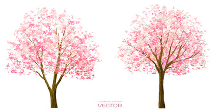 Vector watercolor blooming flower tree or forest side view isolated on white background for landscape and architecture drawing,elements for environment,sakura treesのイラスト素材