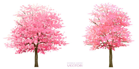 Vector watercolor blooming flower tree or forest side view isolated on white background for landscape and architecture drawing,elements for environment or and garden,botanicalのイラスト素材