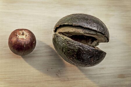 Avocadoの写真素材