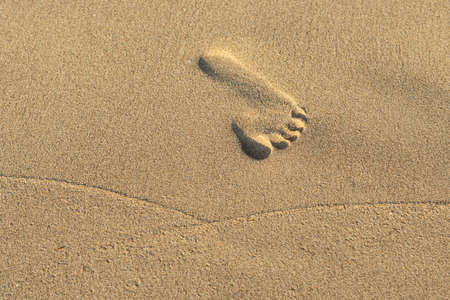 The footprints of children on the beach