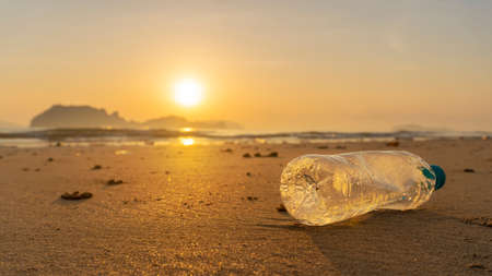 Garbage on the beach such as plastic bottles, foam boxes, food and twigs.