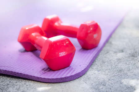 Pink dumbbells weighing 2 kg placed on a yoga mat.の写真素材