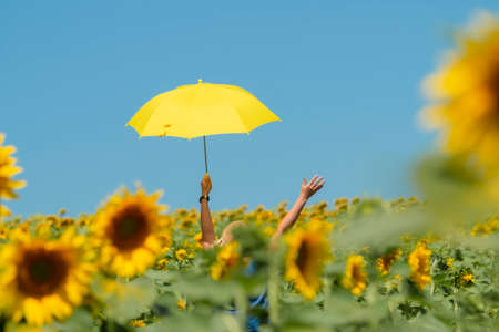 a happy woman holding a yellow umbrella in a sunflower field on a sunny dayの写真素材