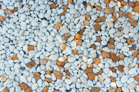 White and orange pebbles for garden decoration and use it as a backdropの写真素材