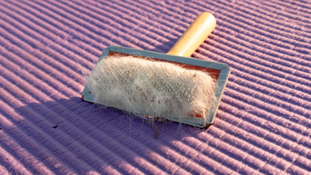 slicker for cats, Hair Removal Comb. on yoga matの写真素材