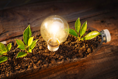 Seeding, gardening In a plastic bottle. Recycling to reduce waste to zero. environmental concept
