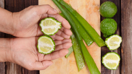 Women hold kaffir lime and aloe vera to make skin care and beauty vitamin ingredients. Restoring deteriorated skin and hair naturallyの写真素材