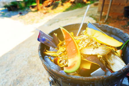 Trash behind the house Put the waste of fruits and vegetables.