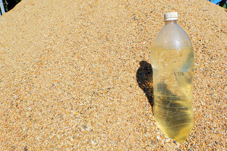 A plastic water bottle is on the pile of sand To prevent the dog from entering excrement.の写真素材