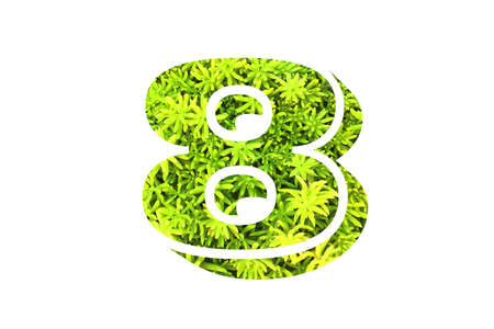 number art with overlay flower and leaf background in concept idea.の写真素材