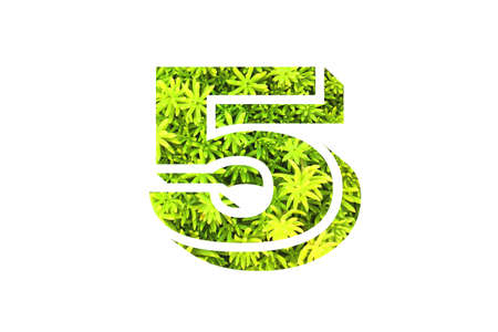 number art with overlay flower and leaf background in concept idea.の写真素材