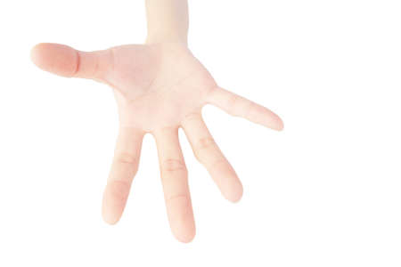 close up of open palm for grab of woman's hand isolated on white backgroundの写真素材
