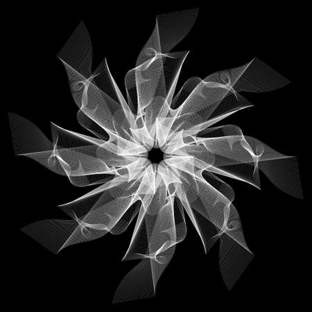 white flower lines pattern with blend design isolated on black background in vectorのイラスト素材