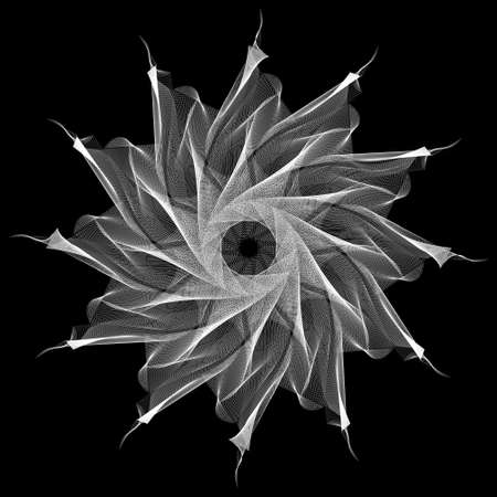 white flower lines pattern with blend design isolated on black background in vectorのイラスト素材