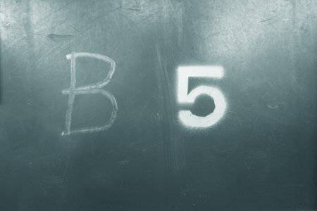 B5 symbol on green plastic surfaceの写真素材