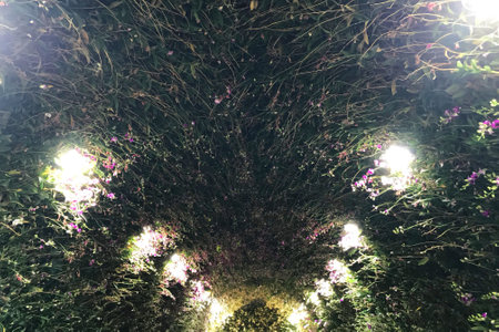 Inside the flower archway at a flower festivalの写真素材