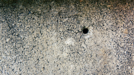 Texture background of cement block wall with small holes drilled in it.の写真素材