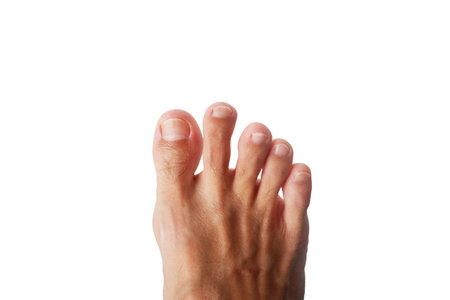 Foot of a 40 year old man, healthy, on a white background.の写真素材