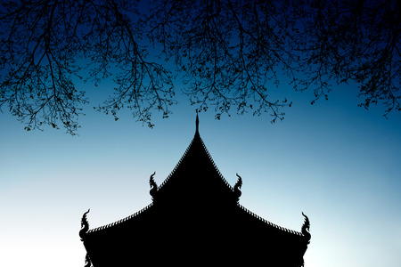 temple and branch silhouette with dark blue skyの写真素材