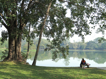 Graduate sit under the big trees beside the reservoir の写真素材