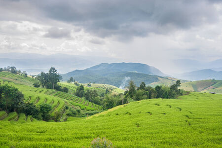 Beautiful green rice field terrace with rain cloud and mountain at Maejam, Chiangmai, Thailand.