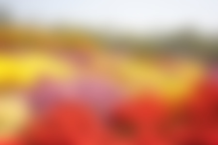 Colorful abstract defocused blur background. Abstract festive background.の写真素材