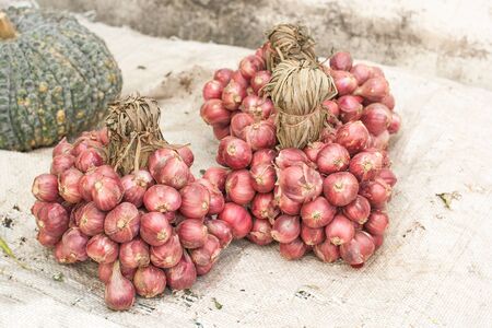 Bunch of shallots on sack with pumpkin background. Shallow depth of field.の写真素材