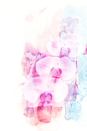 Abstract watercolor illustration of blossom flower. Watercolor painting on paper. Floral watercolor illustration.の写真素材
