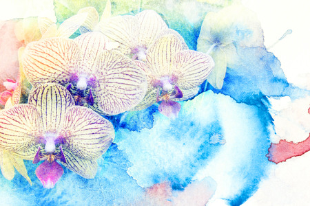 Abstract watercolor illustration of blossom flower. Watercolor painting on paper. Floral watercolor illustration.の写真素材