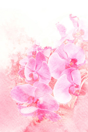 Abstract watercolor illustration of blossom flower. Watercolor painting on paper. Floral watercolor illustration.の写真素材