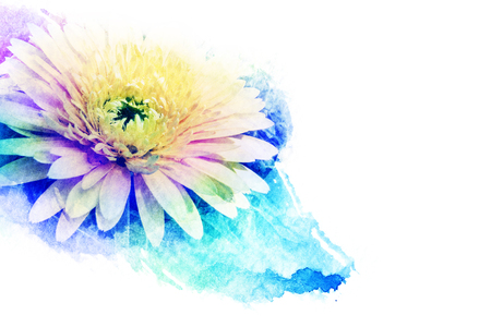 Abstract watercolor illustration of blossom gerbera. Watercolor painting on paper. Floral watercolor illustration.の写真素材