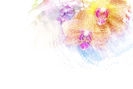Abstract watercolor illustration of blossom phalaenopsis orchid. Watercolor painting on paper. Floral watercolor illustration.の写真素材