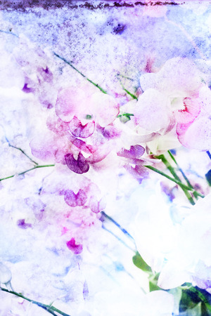Abstract watercolor illustration of blossom orchid. Watercolor painting. Floral watercolor illustration.の写真素材