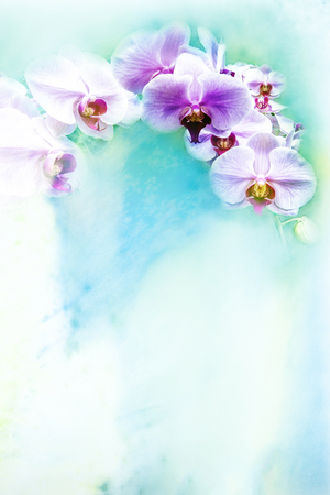 Abstract watercolor illustration of blossom orchid. Watercolor painting. Floral watercolor illustration.の写真素材