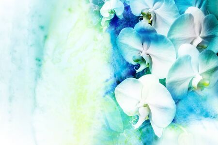 Abstract watercolor illustration of blossom orchid. Watercolor painting. Floral watercolor illustration.の写真素材