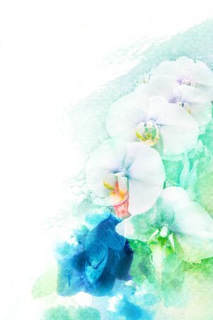 Abstract watercolor illustration of blossom orchid. Watercolor painting. Floral watercolor illustration.の写真素材