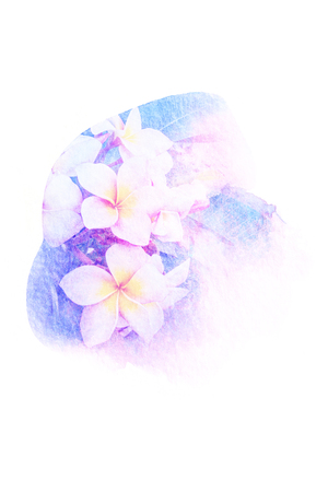 Watercolor painting illustration of blossom flower. Artistic floral abstract background.の写真素材