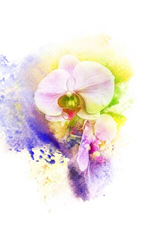 Watercolor painting illustration of blossom orchid. Artistic floral abstract background.の写真素材