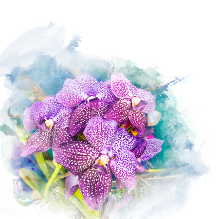 Illustration of beautiful blossom purple vanda orchid. Artistic floral abstract background. Watercolor painting (retouch).の写真素材