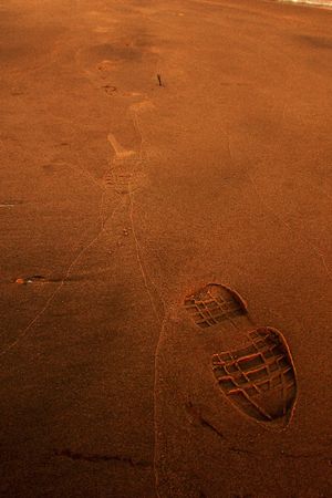 on the beachの写真素材